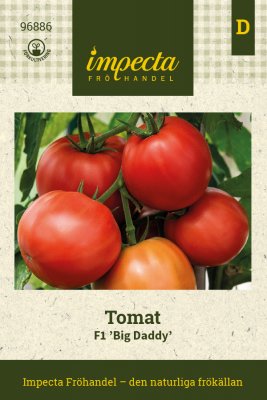 Tomat F1 Big Daddy
