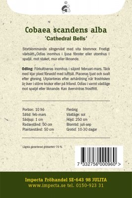 Klockranka, Cathedral Bells