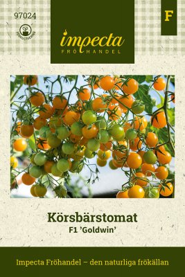 Körsbärstomat Goldwin