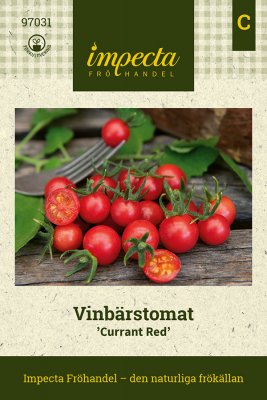 Tomat, Vinbärs-, Currant Red