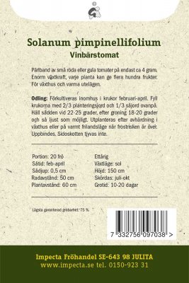 Tomat, Vinbärs-