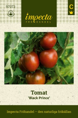 Tomat, Black Prince