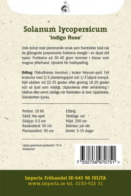 Tomat, 'Indigo Rose'