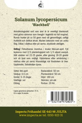 Tomat Blackball