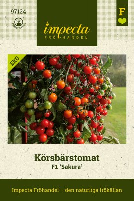Tomat, Körsbärs-, F1 Sakura, Ekologisk
