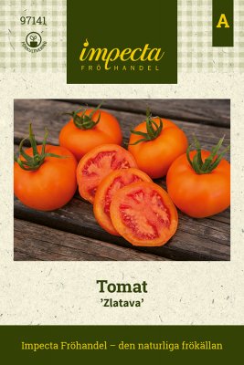 Tomat, Zlatava