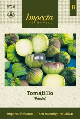 Tomatillo, Purple