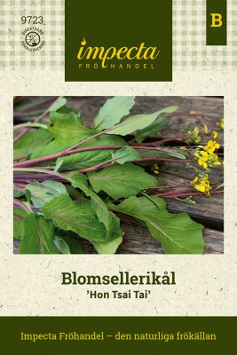 Blomsellerikål Hon Tsai Tai