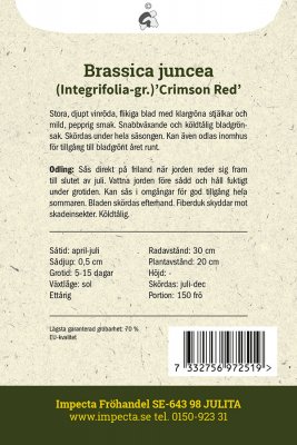 Salladssenap Crimson Red