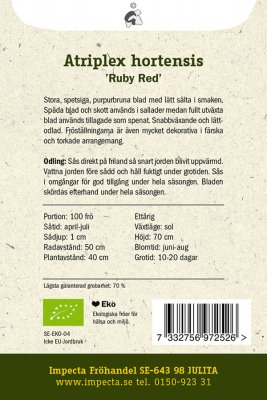 Trädgårdsmålla, Röd, 'Ruby Red', Ekologisk