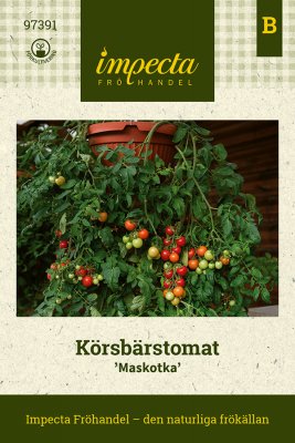 Tomat, Körsbärs-, Maskotka