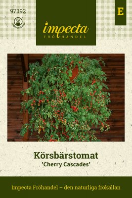 Tomat, Körsbärs-, Cherry Cascades