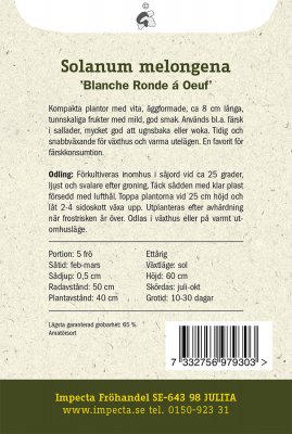 Aubergin, 'Blanche Ronde á Oeuf'