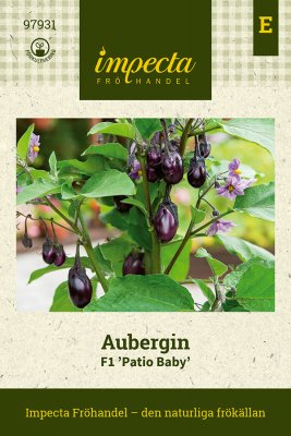 Aubergin, Mini-, F1 Patio Baby