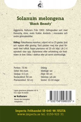 Aubergin, Black Beauty