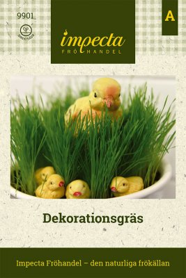 Dekorationsgräs
