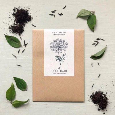 Slöjsilja, Ammi majus