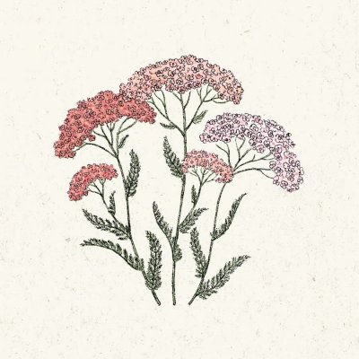 Röllika, Pastell-, Summer Pastels