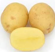 Sättpotatis Actrice (Storlek: 1kg)