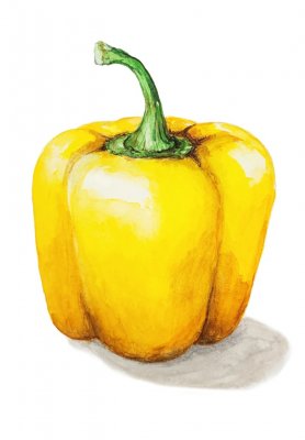 Capsicum annuum Cubo Yellow