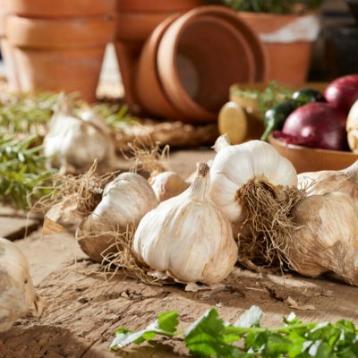 Vitlök Precosem EKO 2-pack