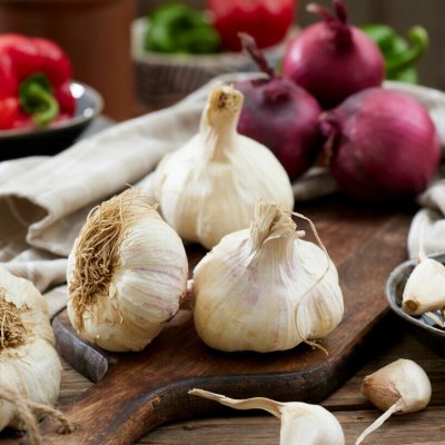 Vitlök Sabadrome 2-pack