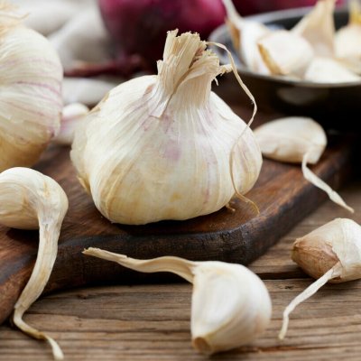 Vitlök Sabadrome 2-pack