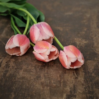 Tulpan Mix Light Spring 30st