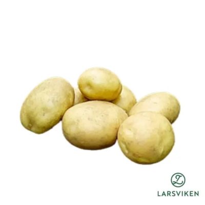 Sättpotatis Argana 1kg