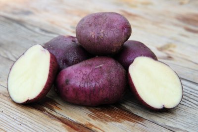 Sättpotatis, 'Arran Victory' 1 kg, Ekologisk