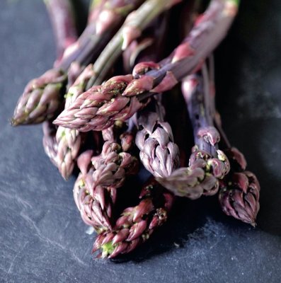 Asparagus officinalis Erasmus, Sparris, SQ2