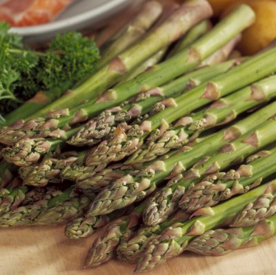 Asparagus officinalis Raffaello, Sparris, SQ2