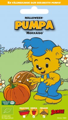 Pumpa, Halloween-, Hokkaido Orange