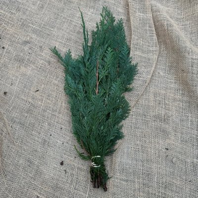 Cypress Blå Bunt 400-500gr
