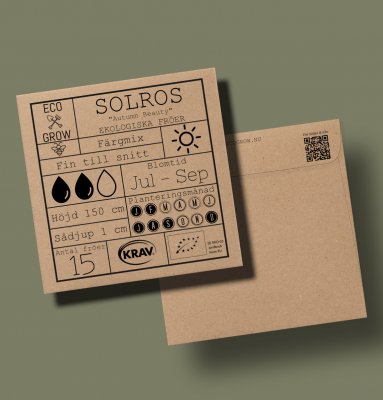 Solros, Autumn Beauty, Ekologisk