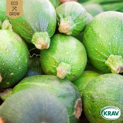 Squash, Ronde de Nice, Ekologisk