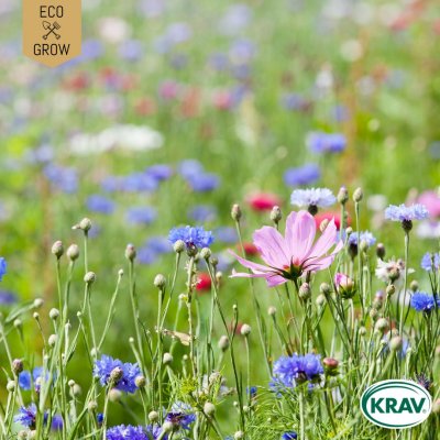Snittblommor Bukettmix Pastel Color Mix, Ekologisk