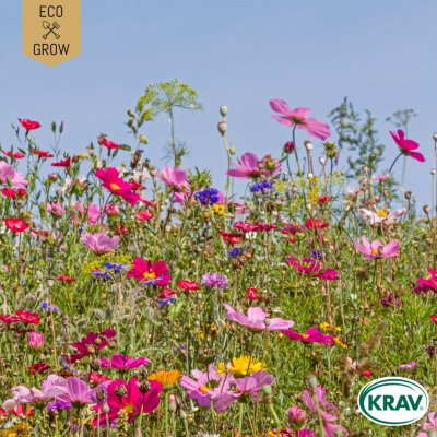 Sommarblommor Honey Bee Mix, Ekologisk