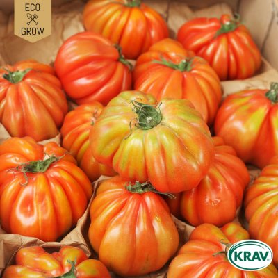 Tomat, Biff-, Marmande, Ekologisk