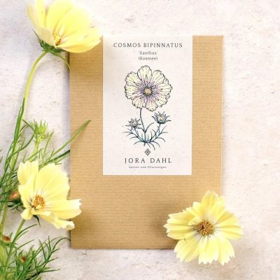 Rosenskära, Xanthos