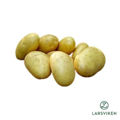 Sättpotatis Darling 1kg