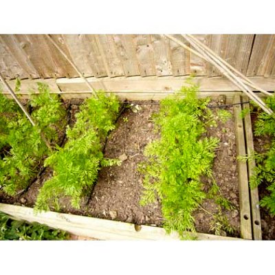 Irrigatia Solcellsdrivet Bevattningssystem Utbyggnadsset med svettslang/fuktslang