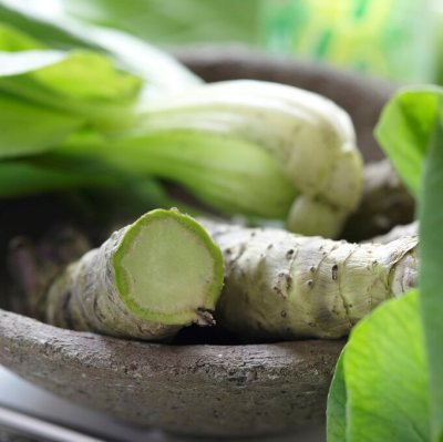 Eutrema japanicum (Wasabi japonica), Wasabi, Japansk Pepparrot, C2