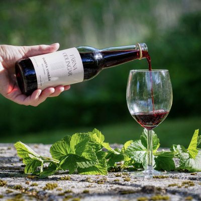 Svarta Vinbär Mousserande 33cl