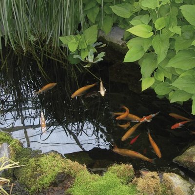 CombiClear 5000 Filter m. inbyggd fontän