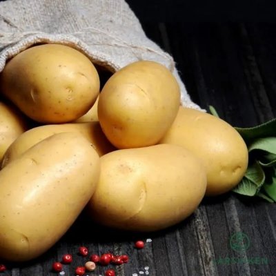 Sättpotatis Gloriette 1kg