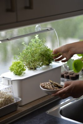 Hydroponisk odling Harvy Startkit Vit Liten