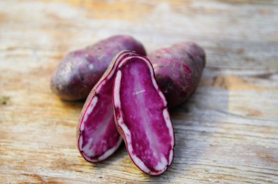 Sättpotatis, 'Highland Burgundy Red', 1 kg,