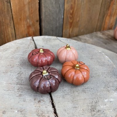 Pumpa Fenja Mörklila Liten Mix