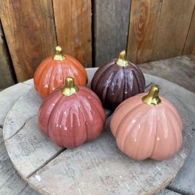 Pumpa Fenja Mörklila Stor Mix